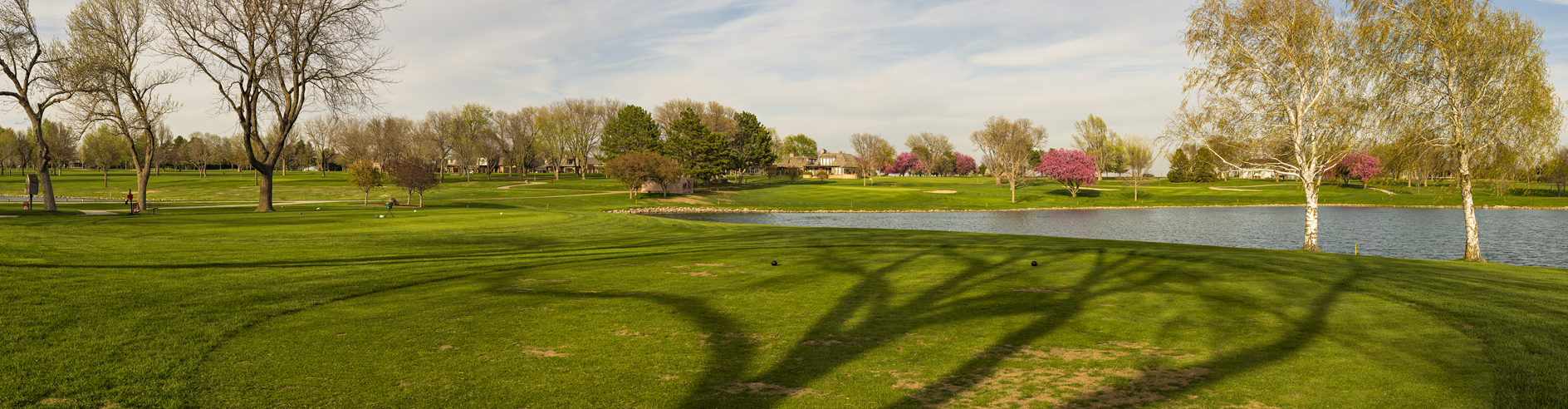 Only the Shadow Knows