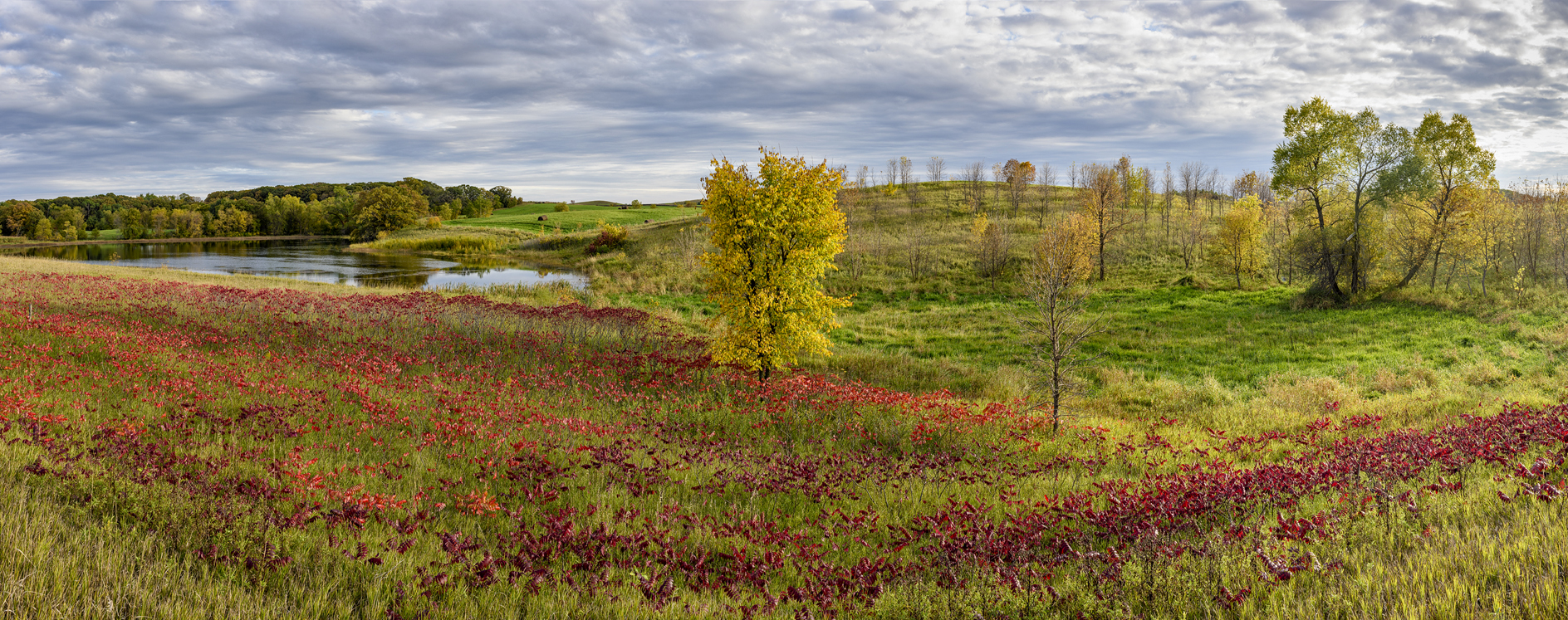 Otter Tail County Evening
