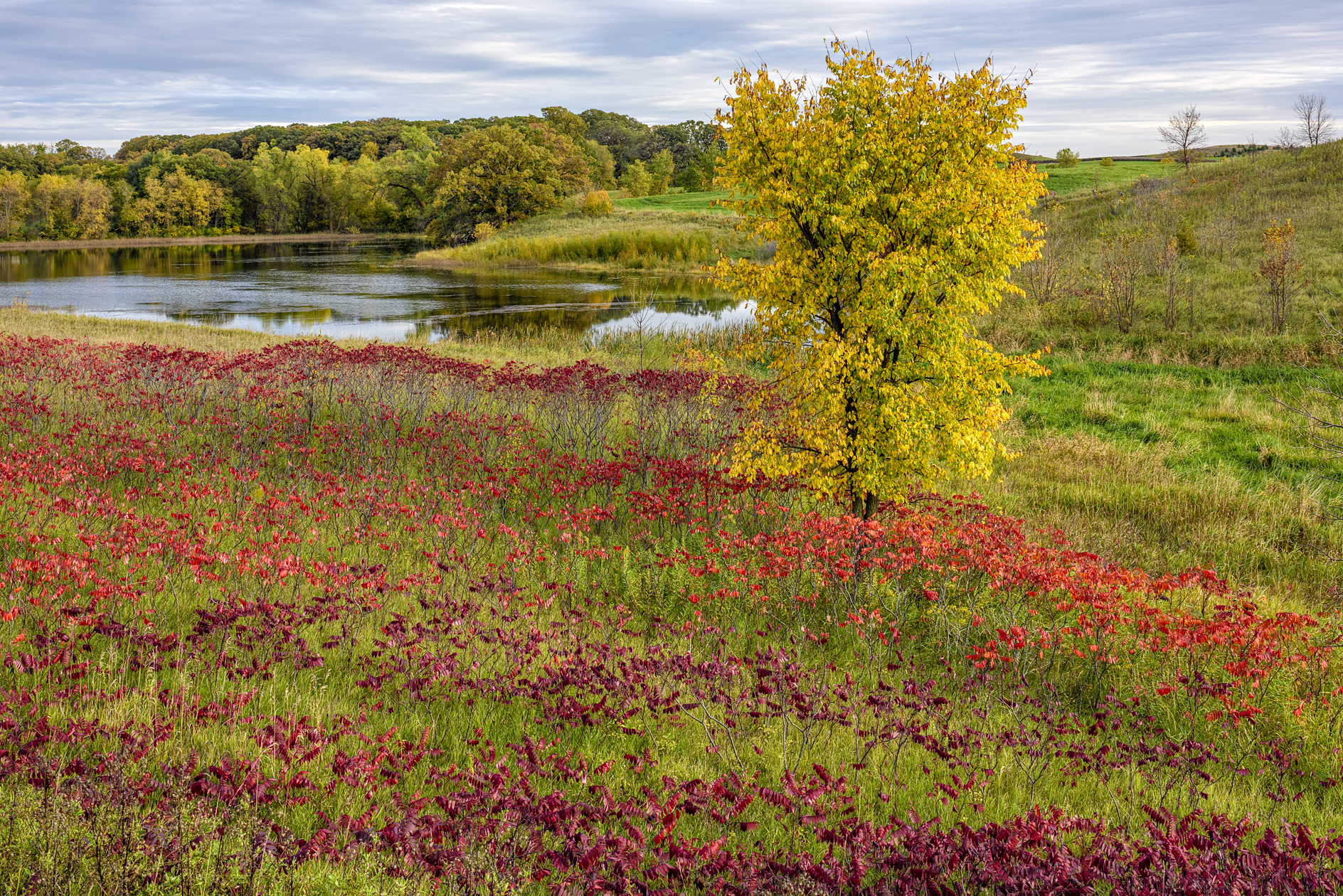 Otter Tail County Evening II