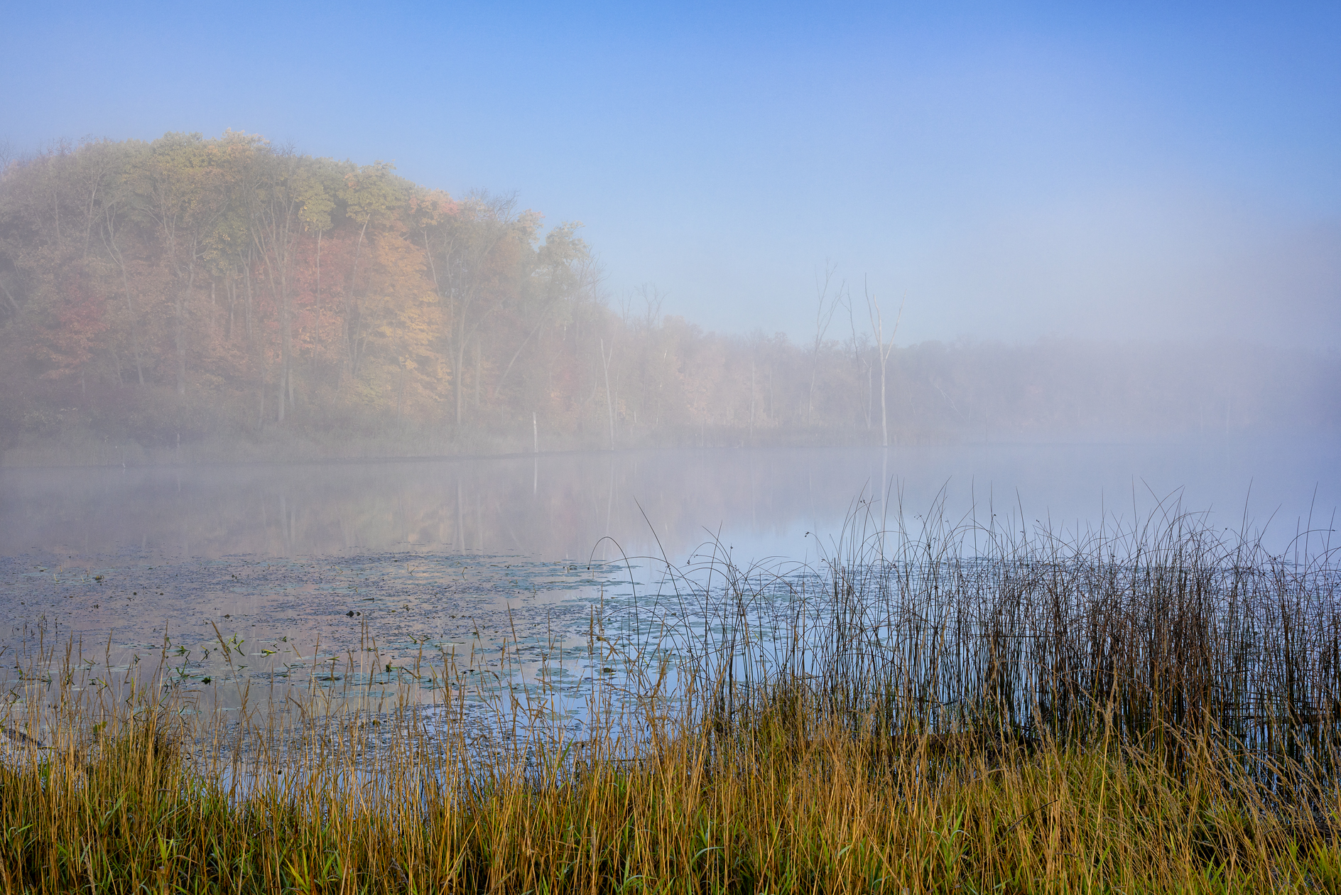 Otter Tail Morning III