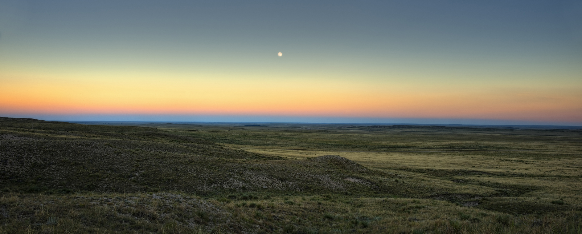 Out for a Late Supper