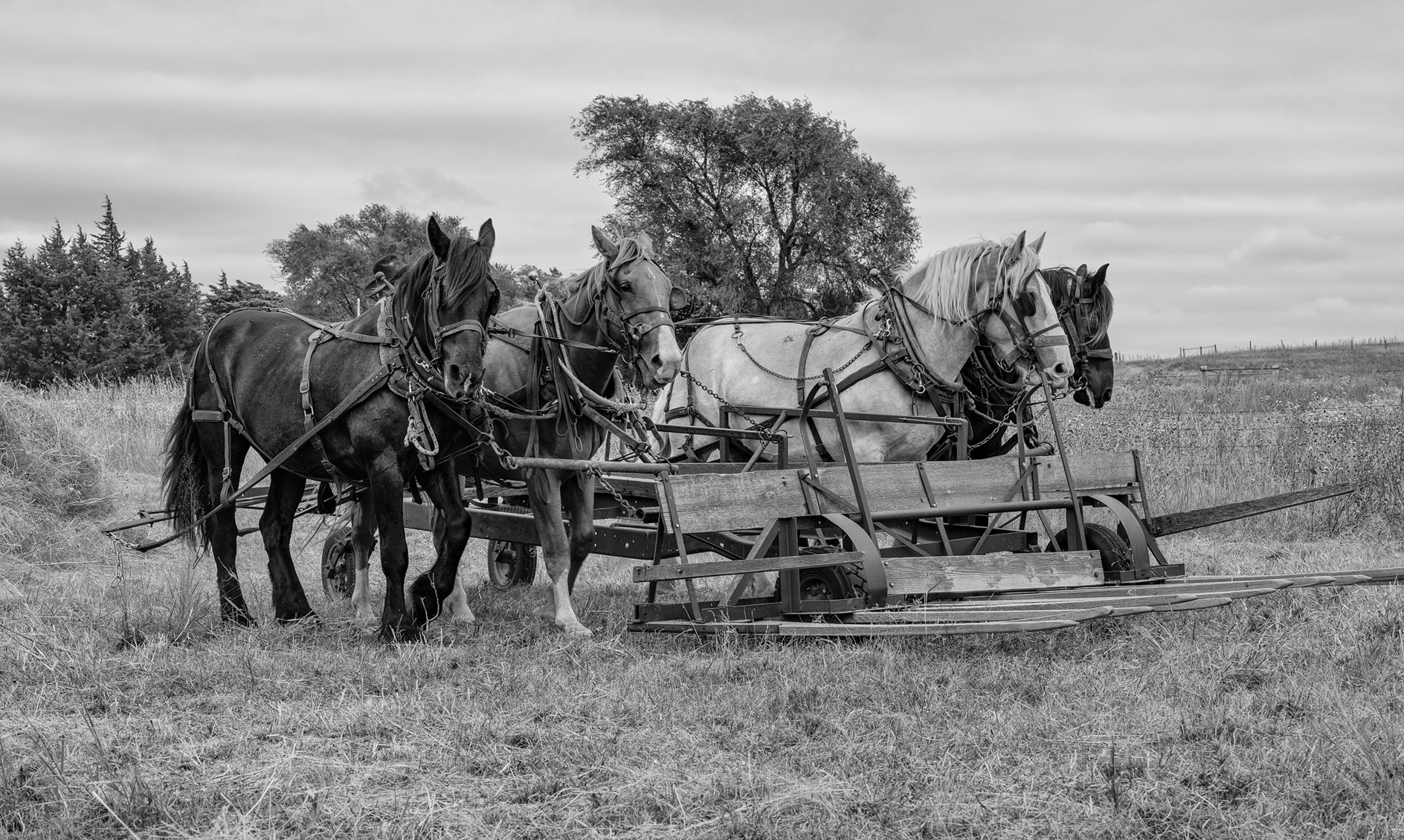 Out Looking for Work