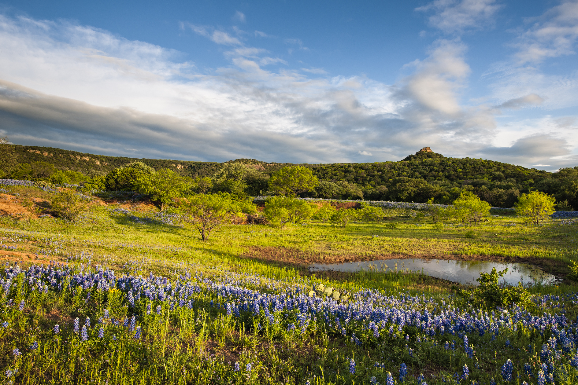 Overseeing the Gardner