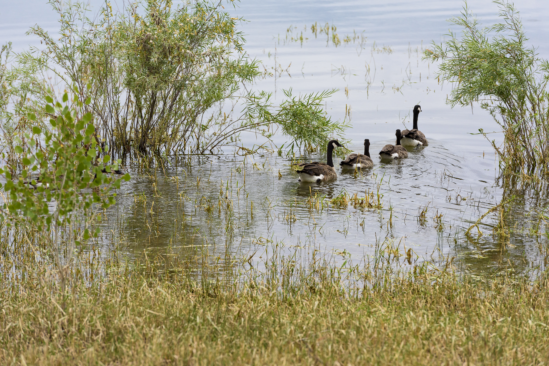 Paddling Along the Edges