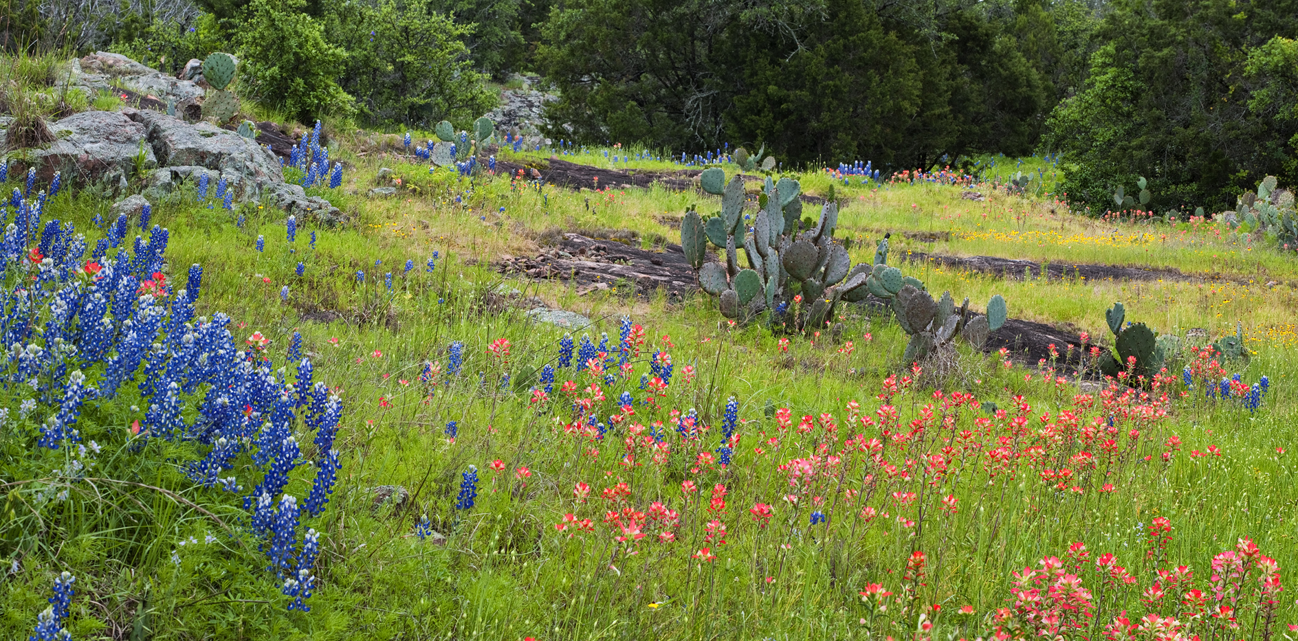 Paddling Up the Creek