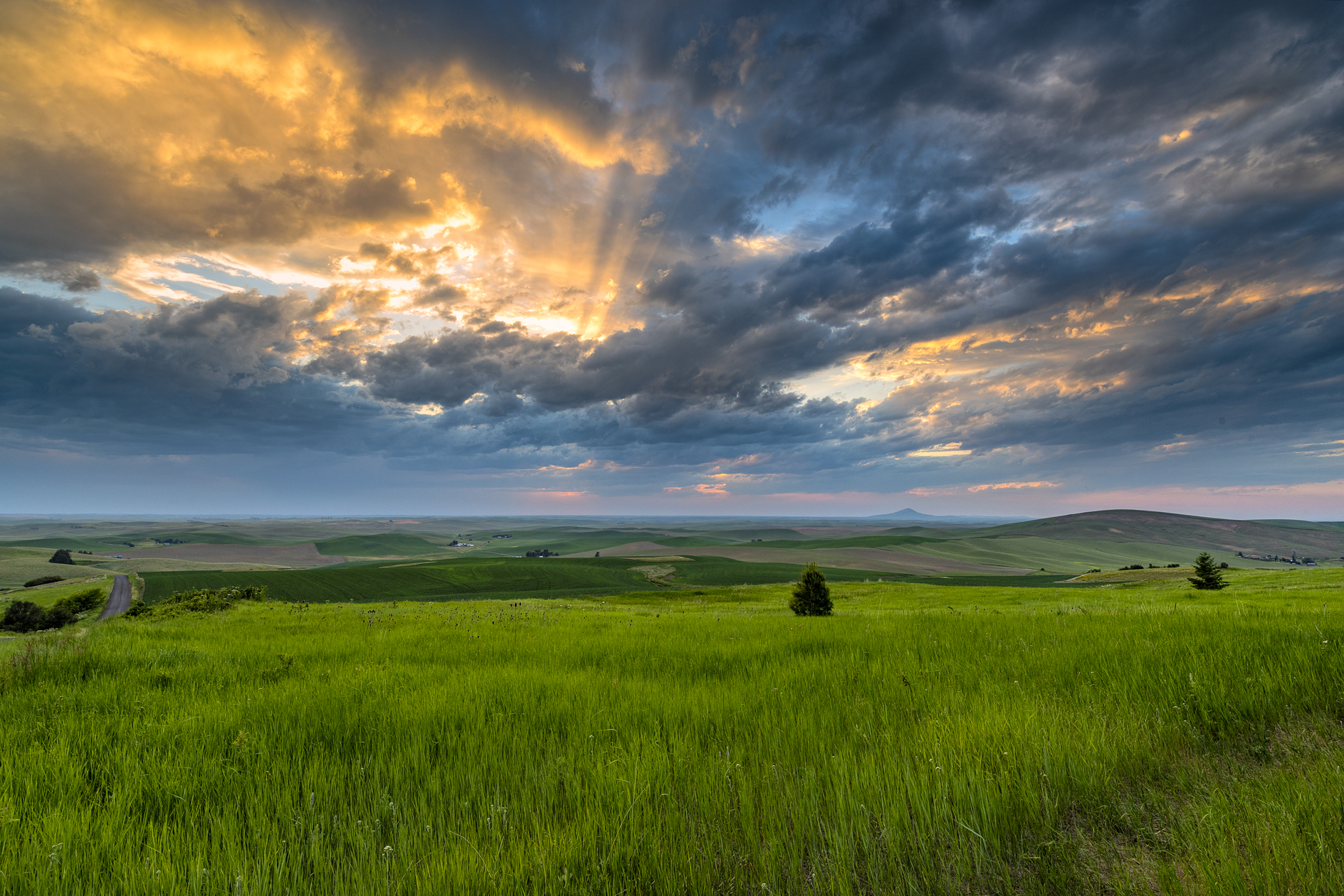 Palouse Evening