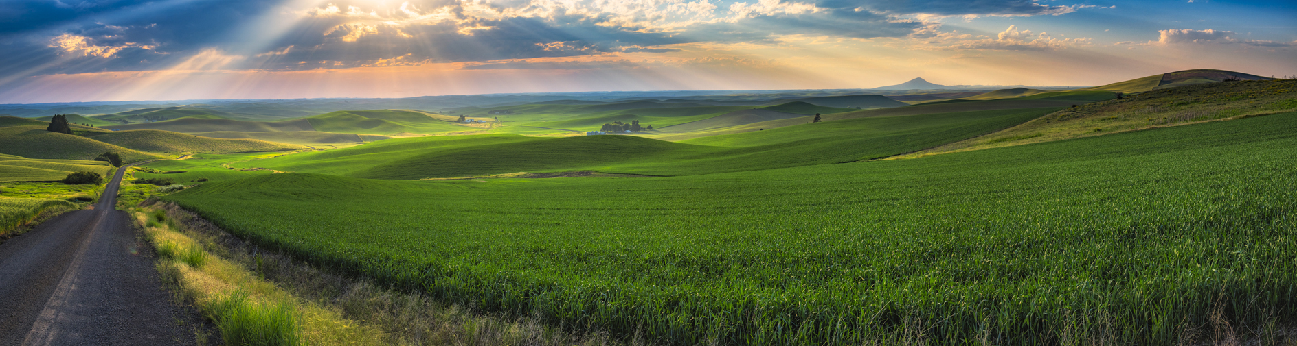 Palouse Evening II