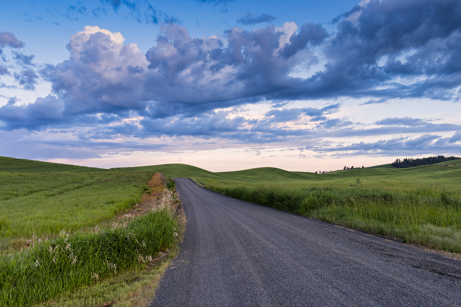 Palouse Morning