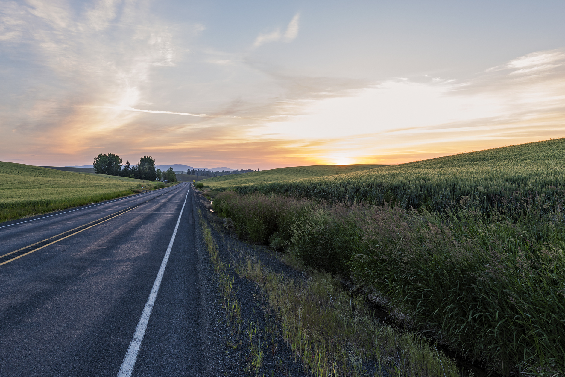 Palouse Morning II