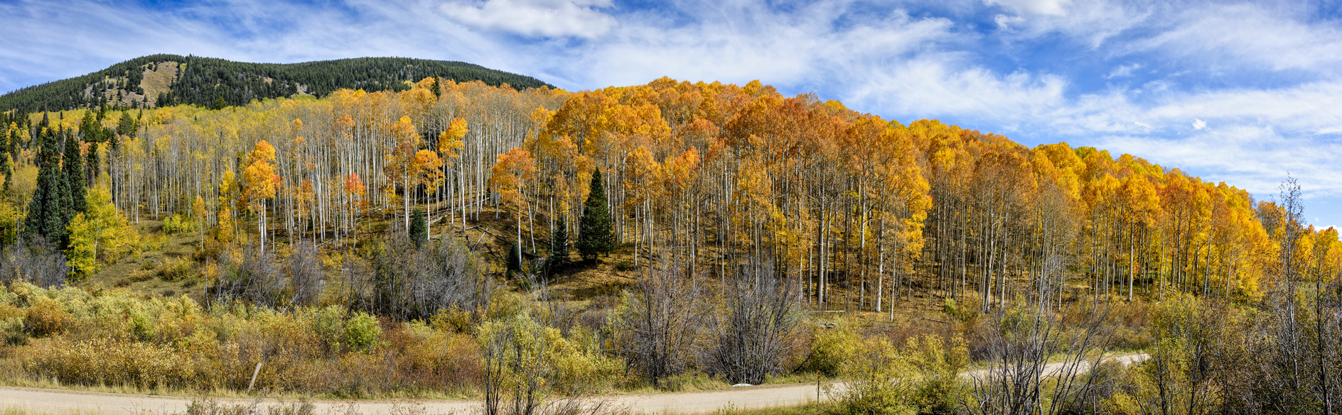 Passing thru Autumn II