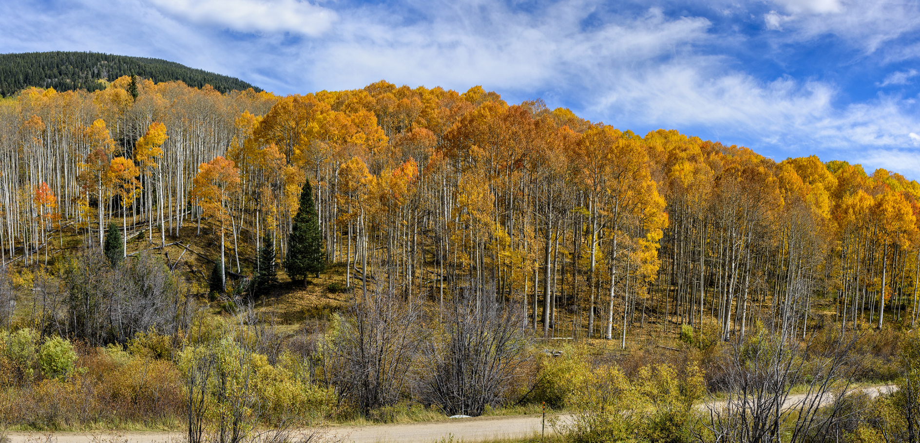 Passing thru Autumn III