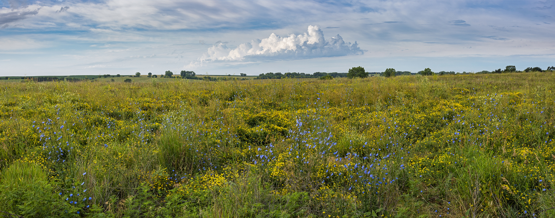 Pawnee County Morning II