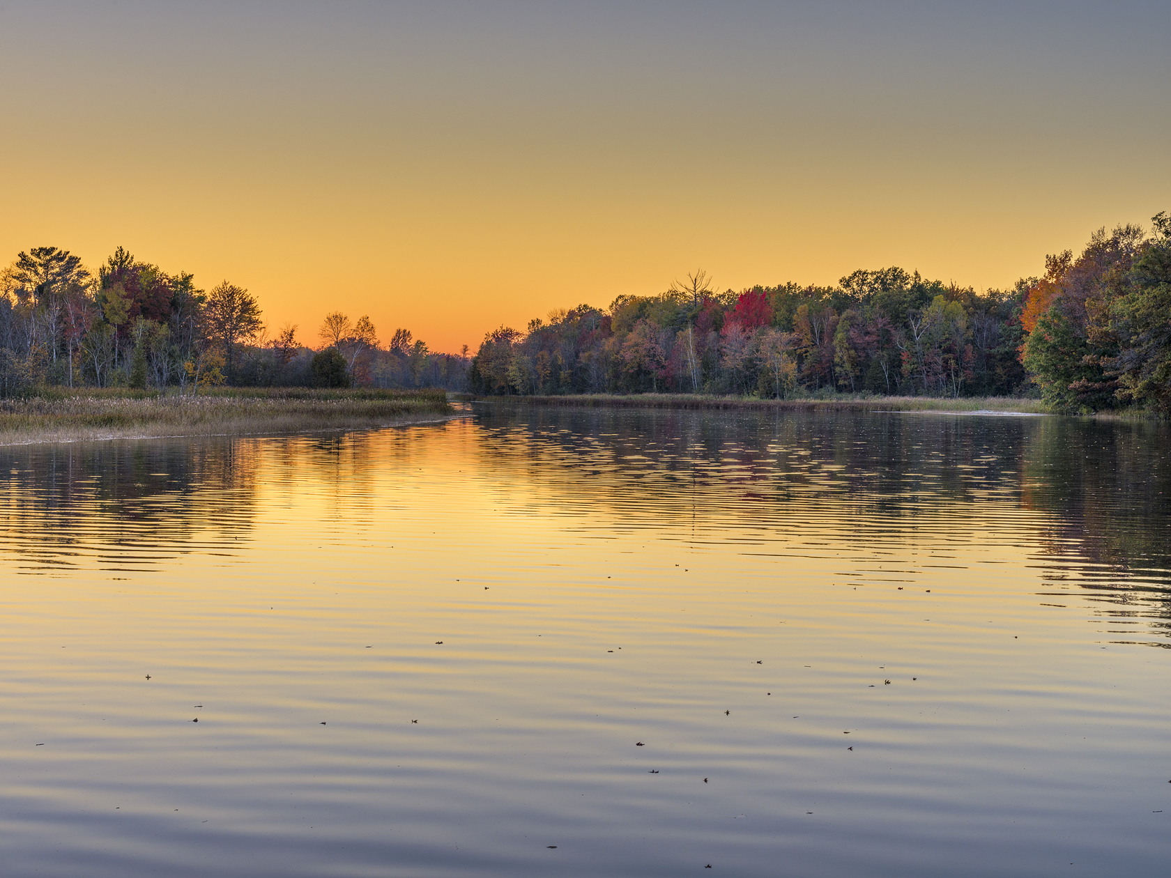 Peshtigo River Evening II