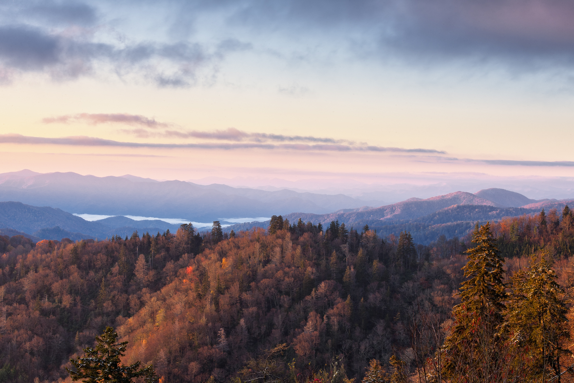 Pink Lips and Rosy Cheeks