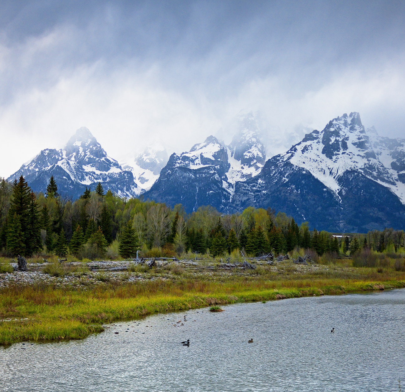 Pockets of Resistance