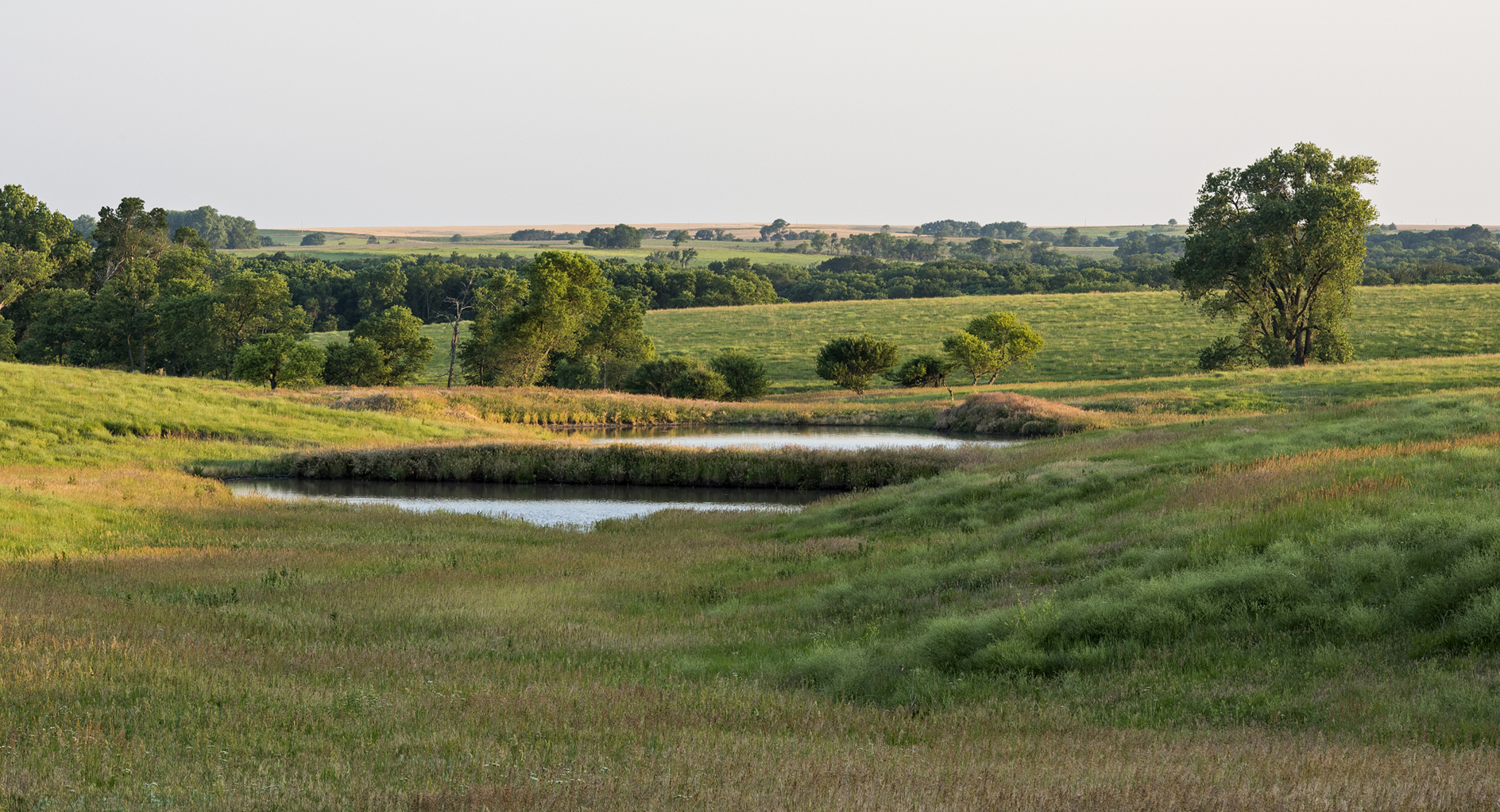 Pondering the Moment