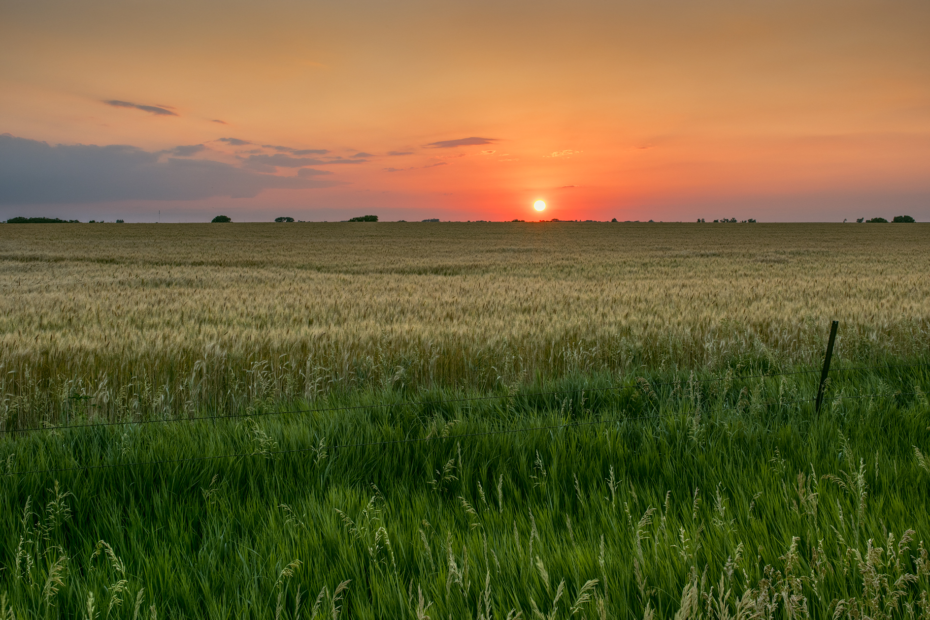 Prairie Bounty