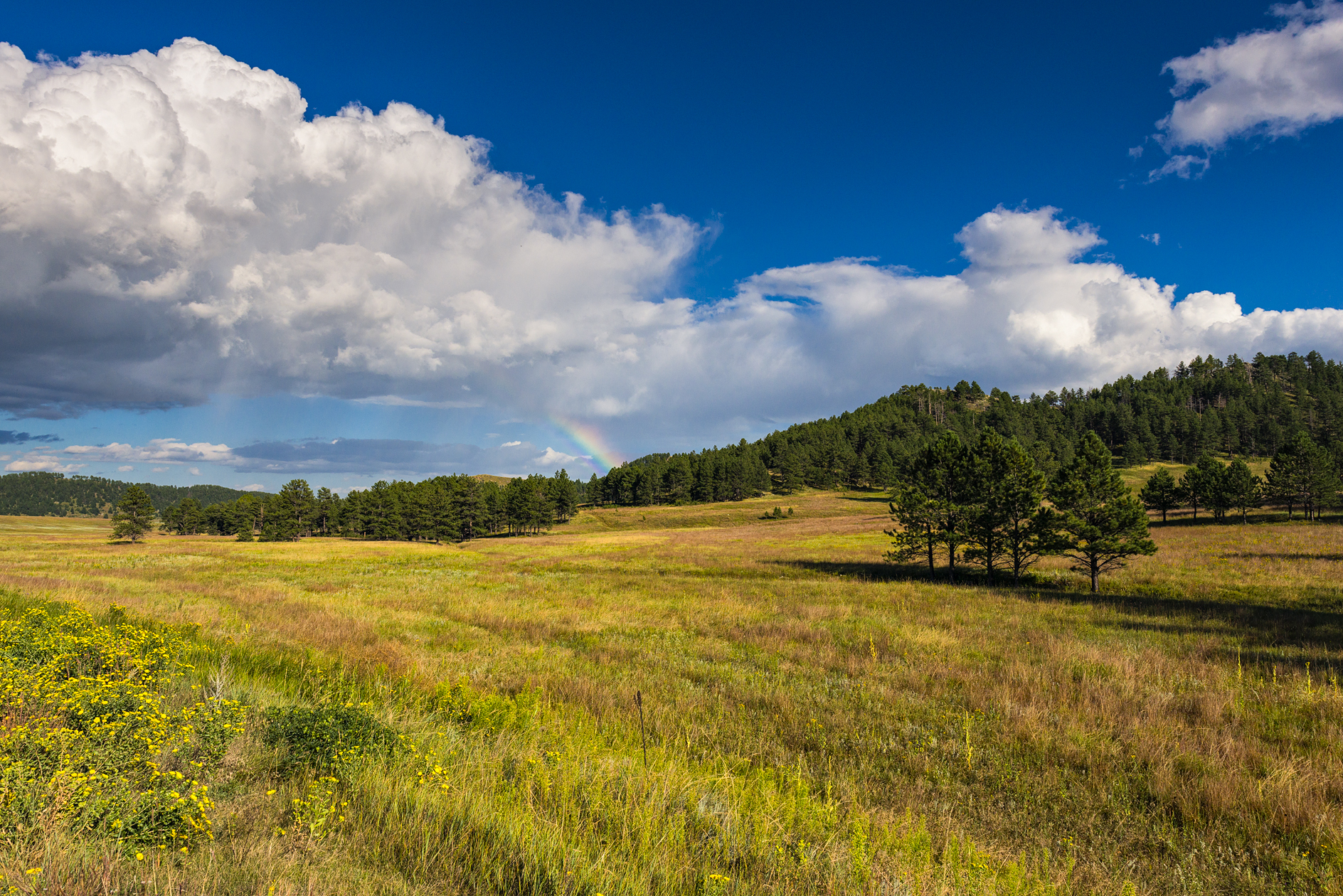Prospecting the Hills