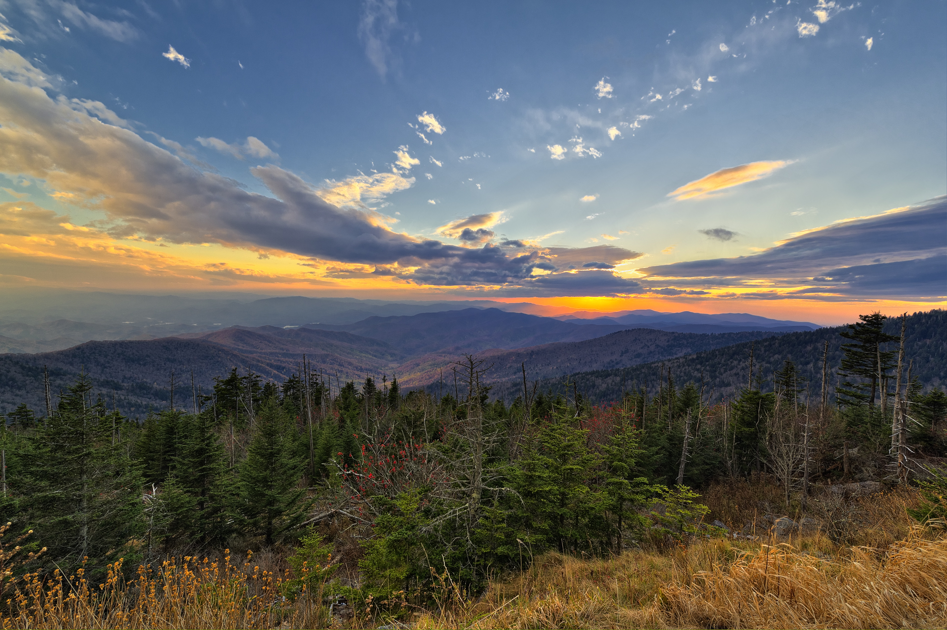 Purple Mountain Majesty