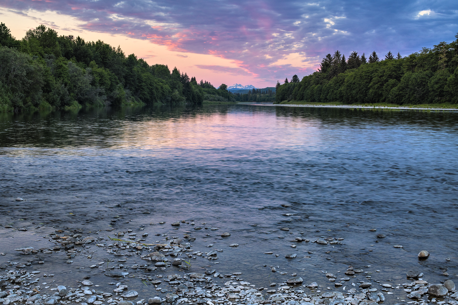 Quillayute River Evening