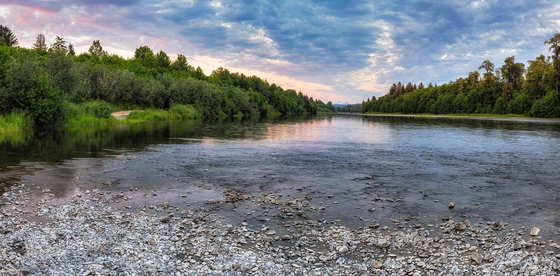 Quillayute River Evening II
