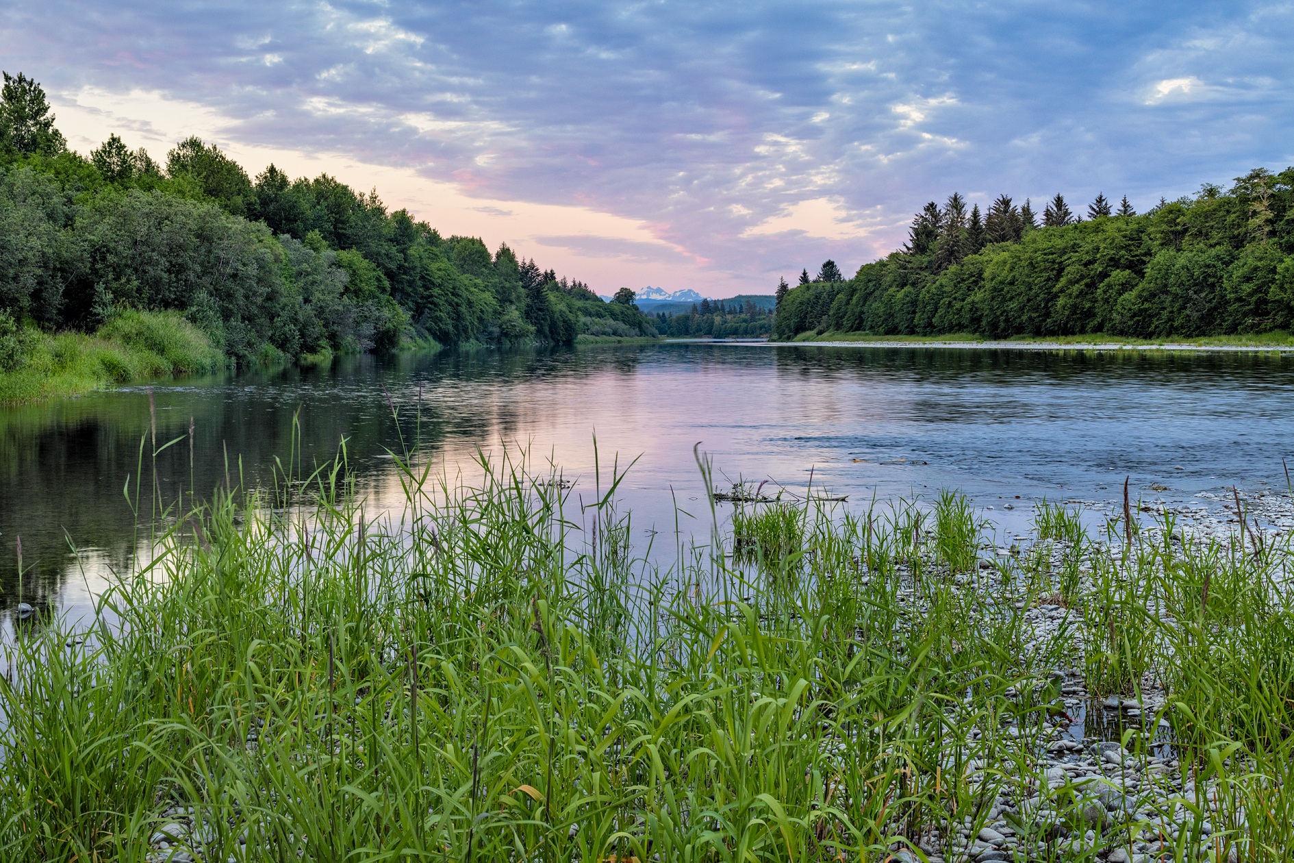 Quillayute River Evening III