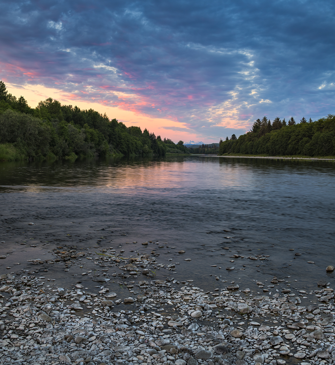 Quillayute River Evening IV