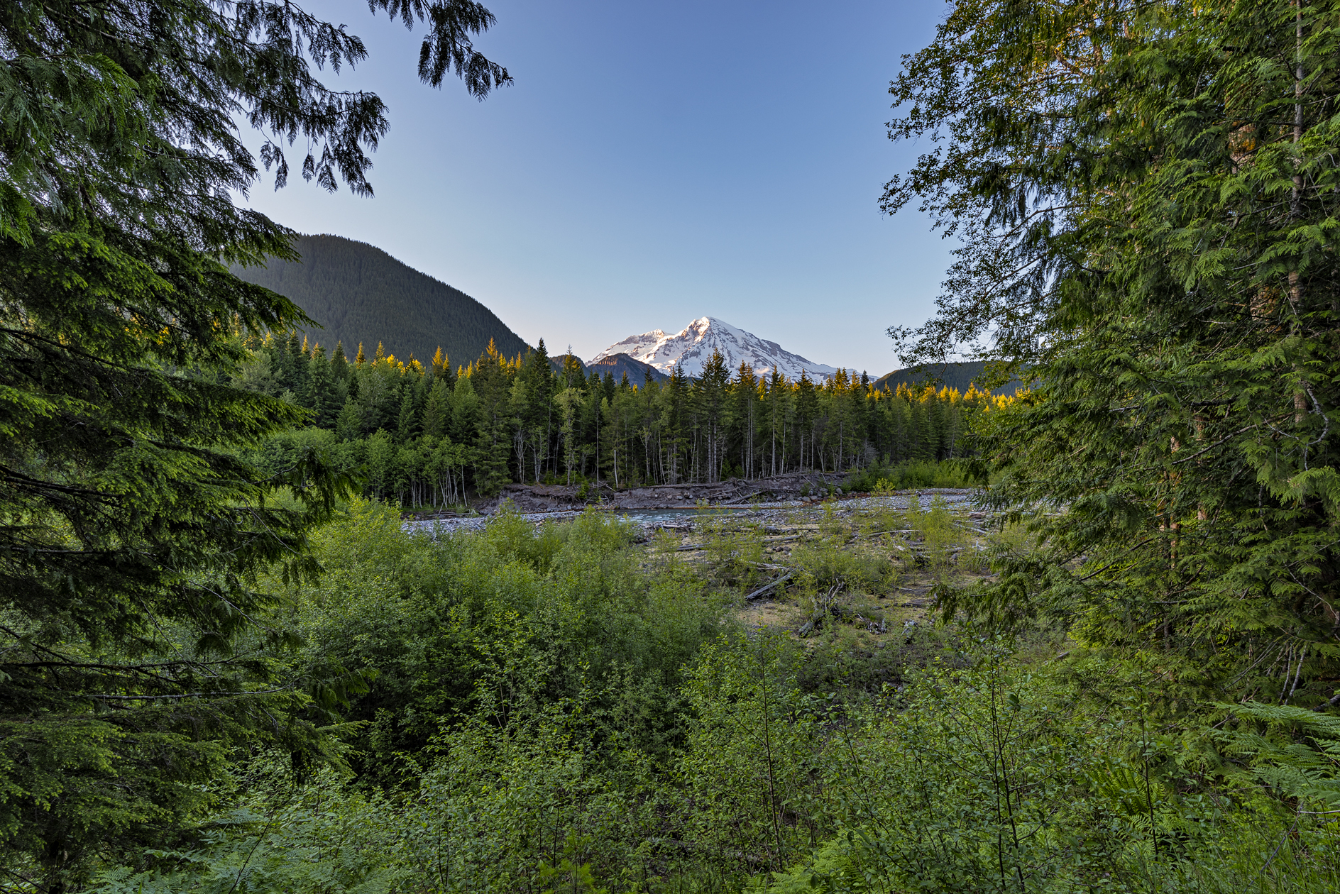 Rainier View
