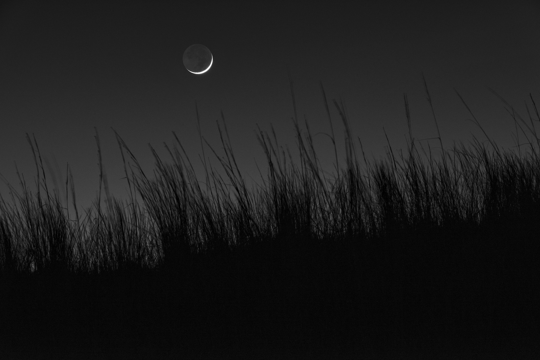 Reaching for the Moon