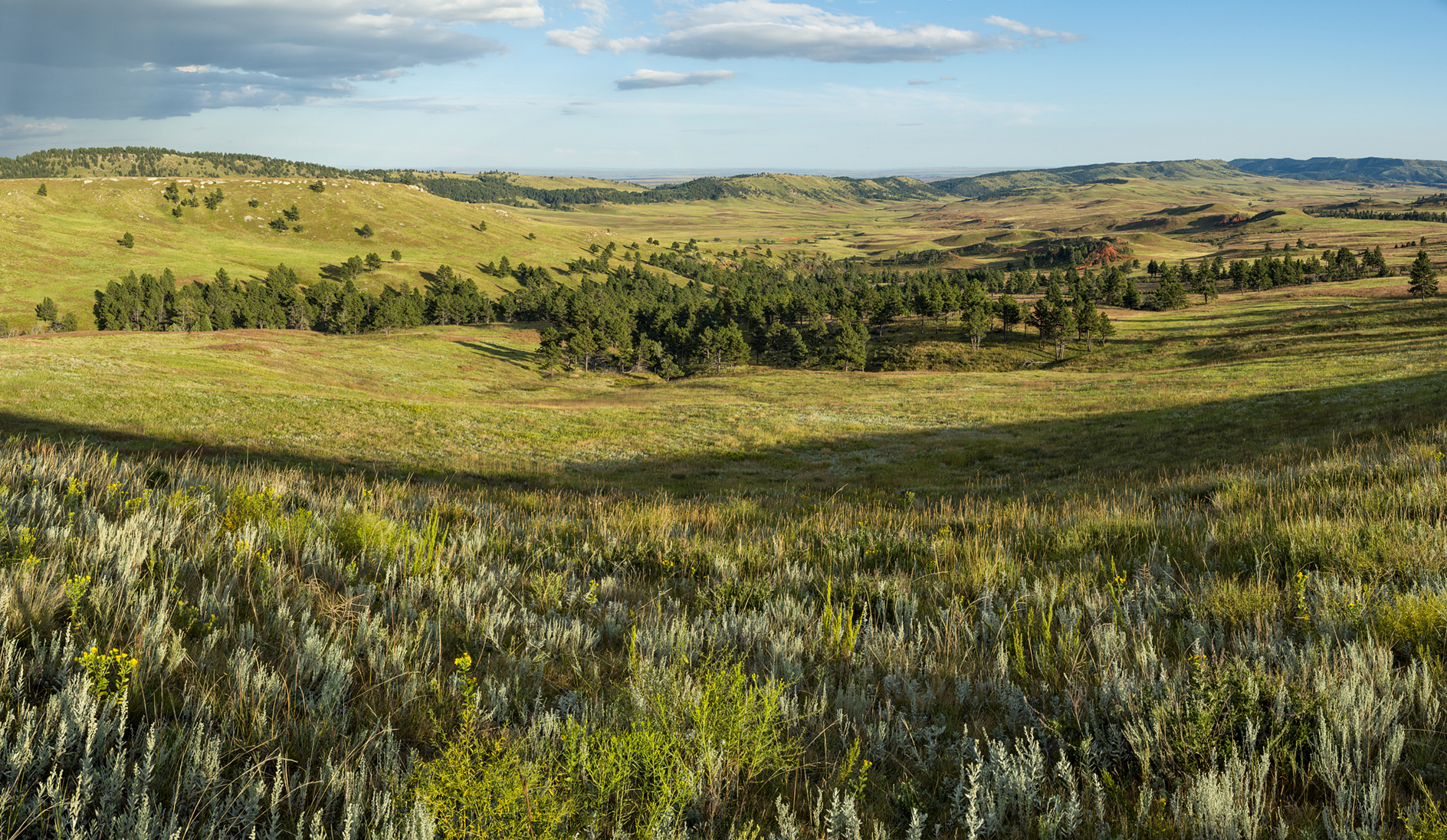 Red Valley Afternoon