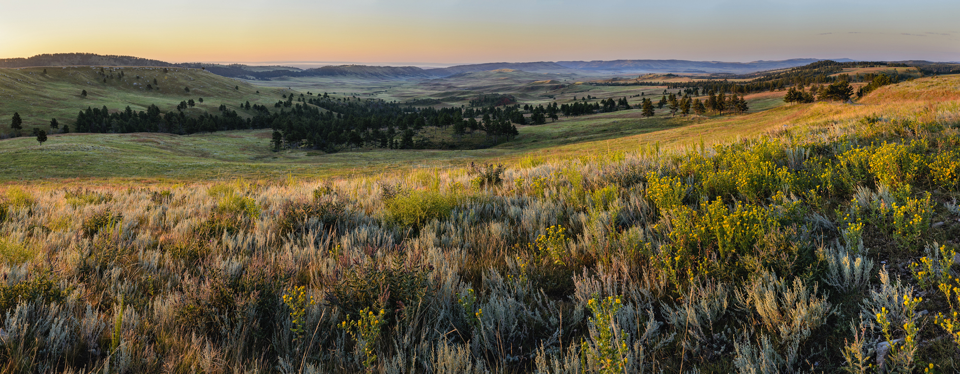 Red Valley Morning II
