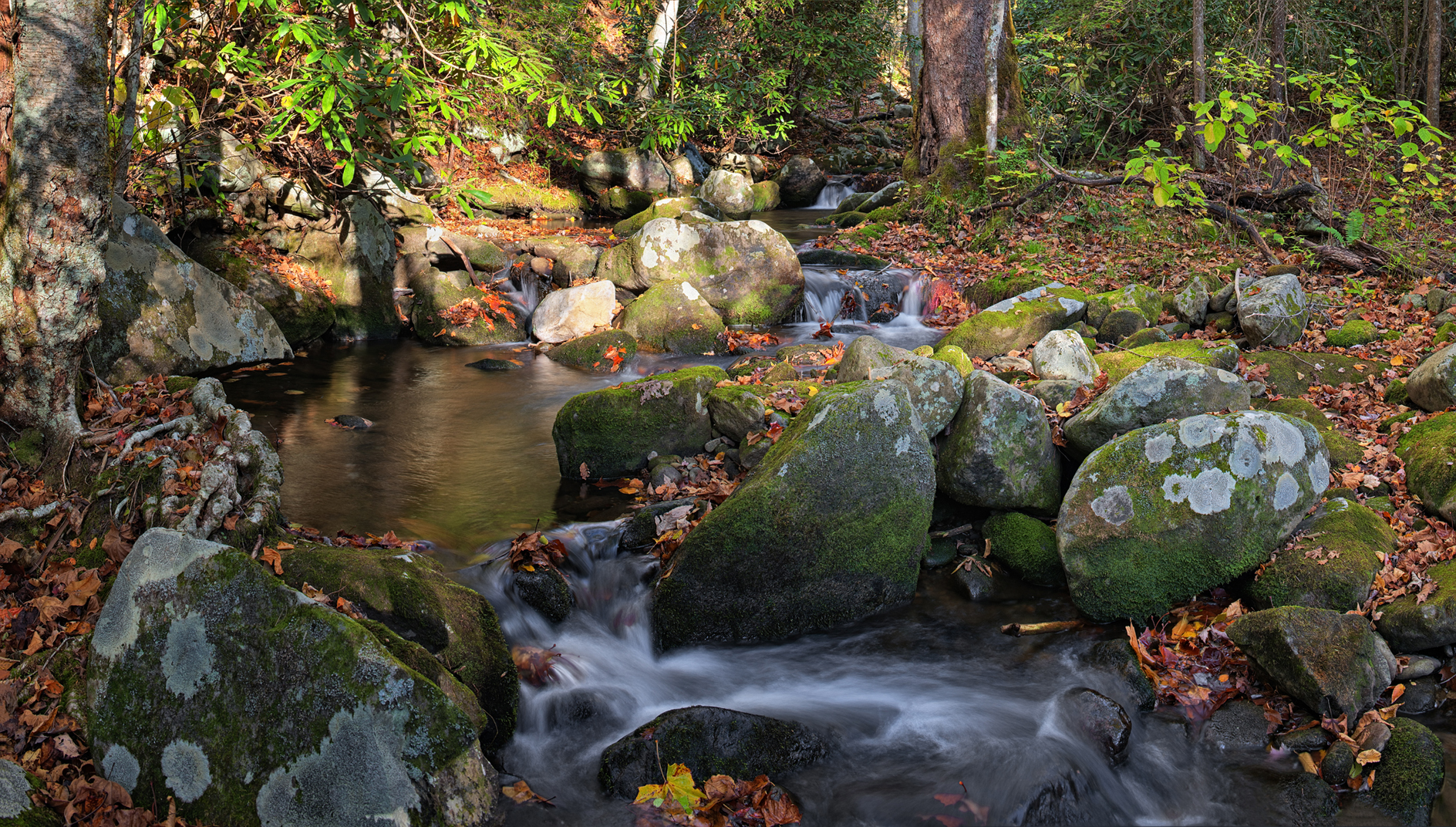 Refreshing the Spirit