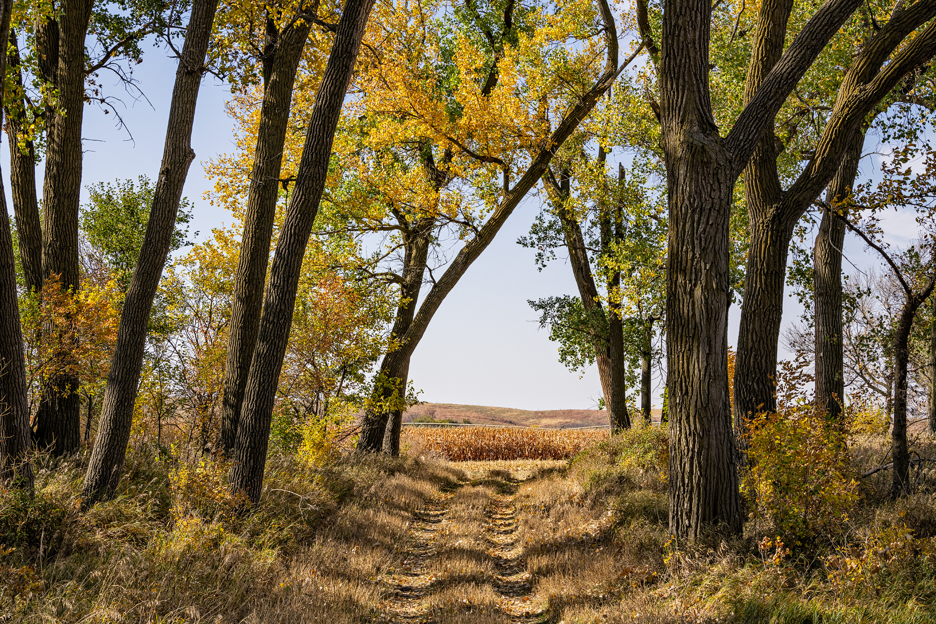 Republican Valley Autumn