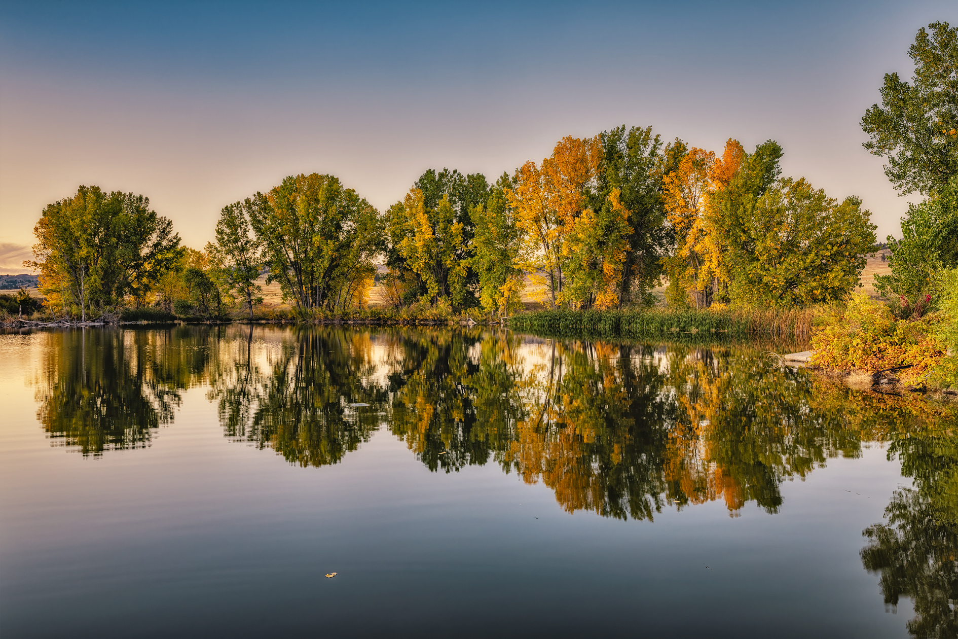 Reservoir Reflections