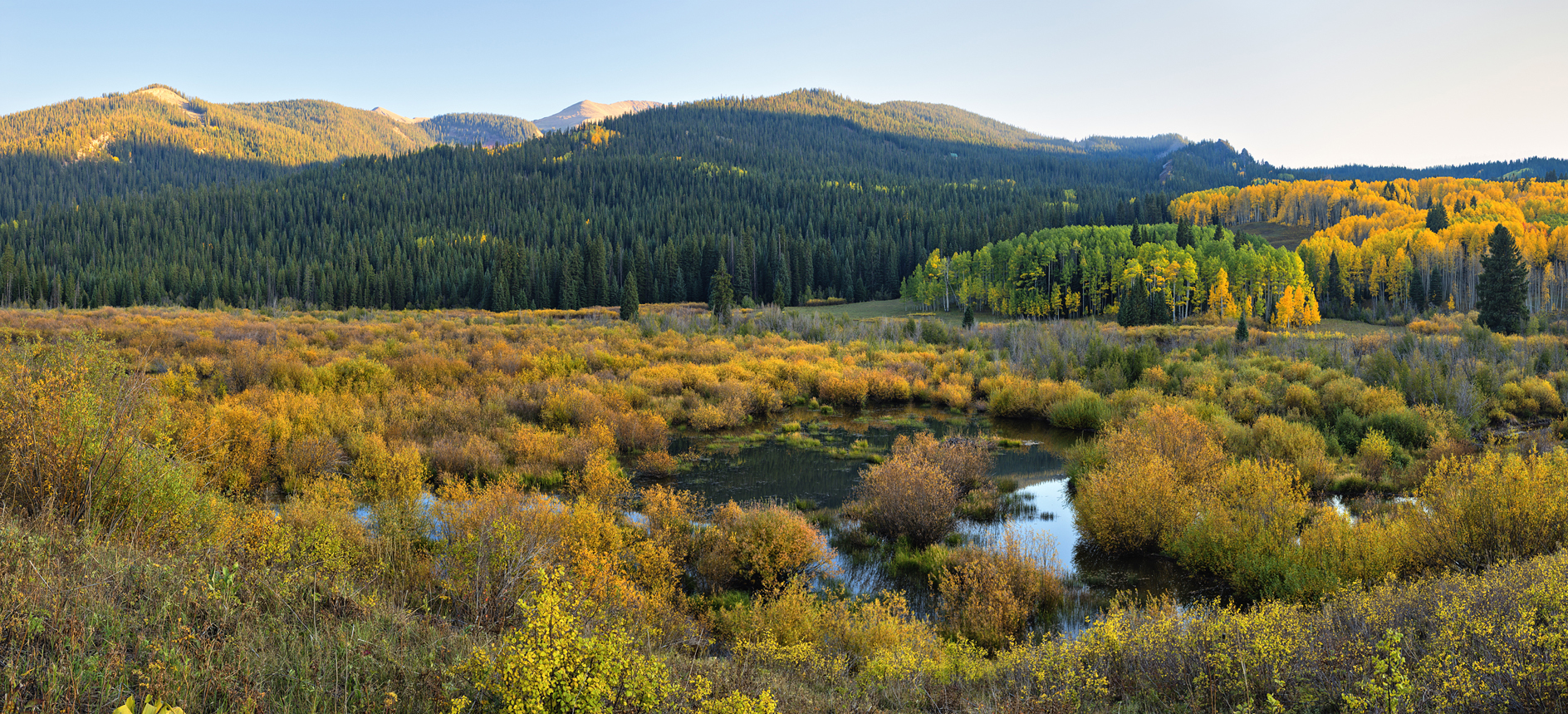 Resistance is Futile