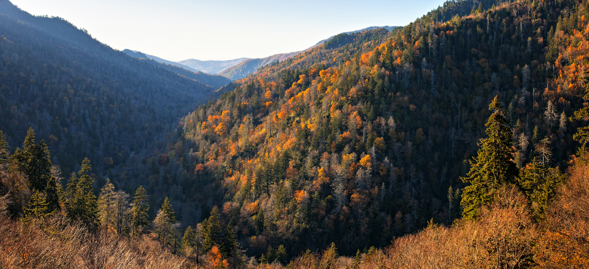 Resistance is Futile II