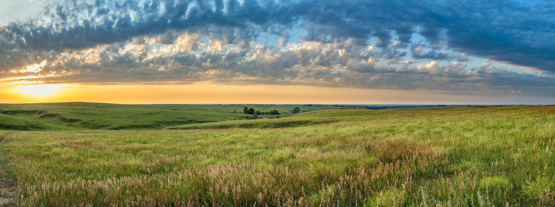 Restoring the Spirit V