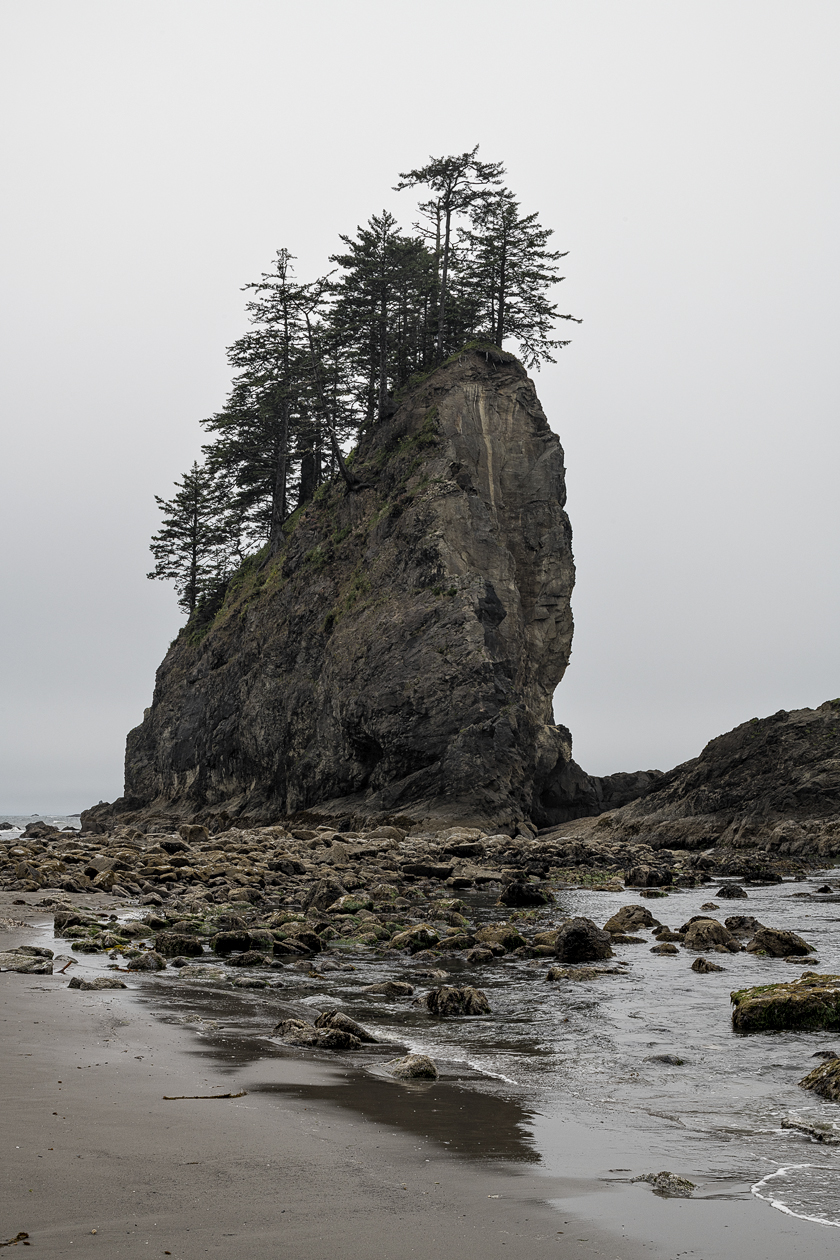 Rialto Beach Afternoon