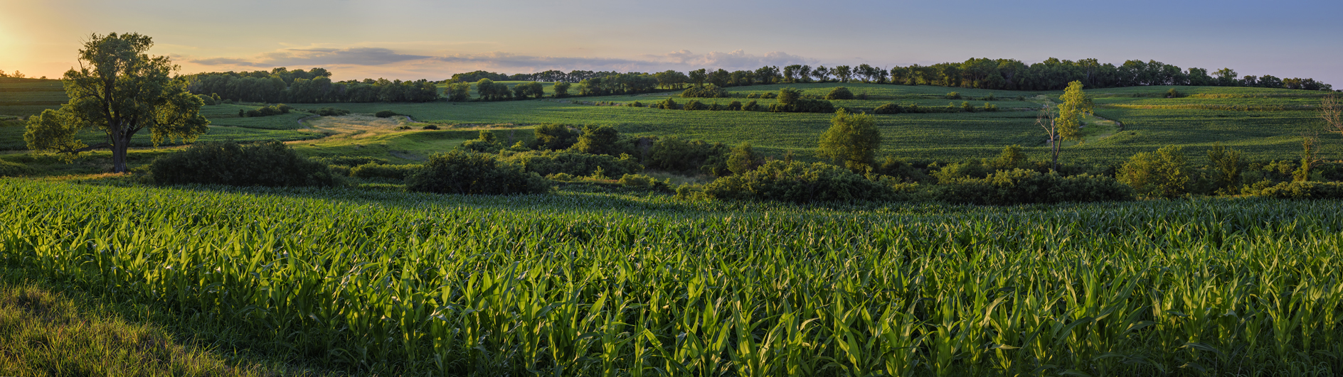 Richardson County Evening III