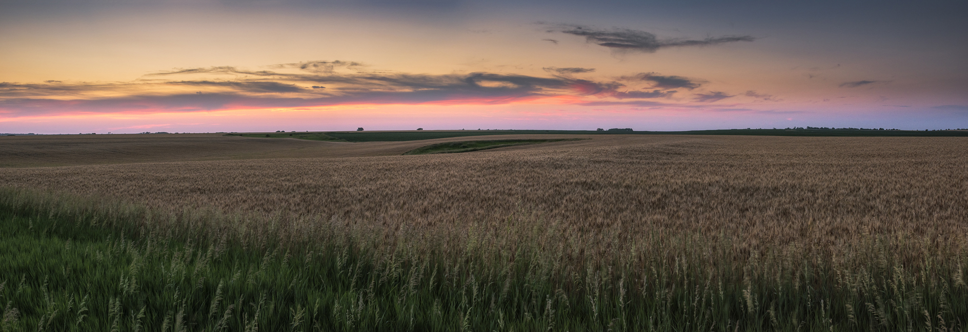 Right in the Breadbasket