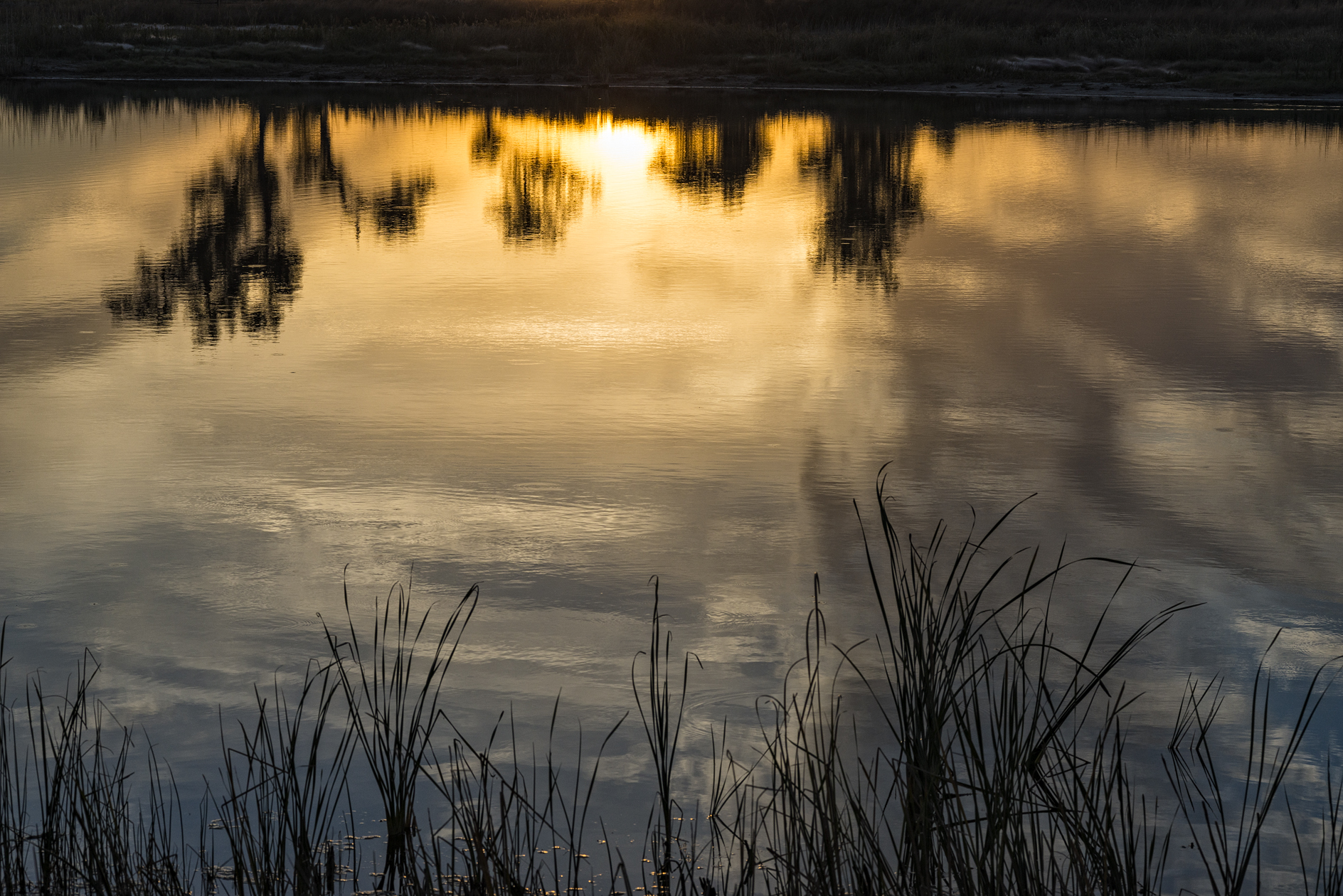 Ripples in the Mirror II