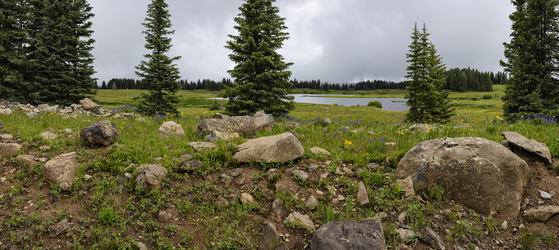 Roadside Enchantment