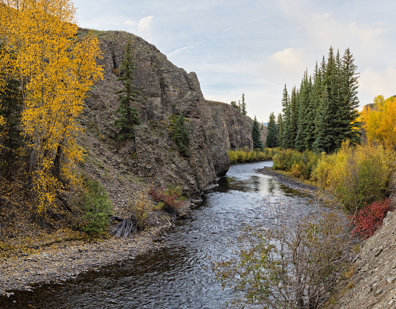 Rock and Rill Concert