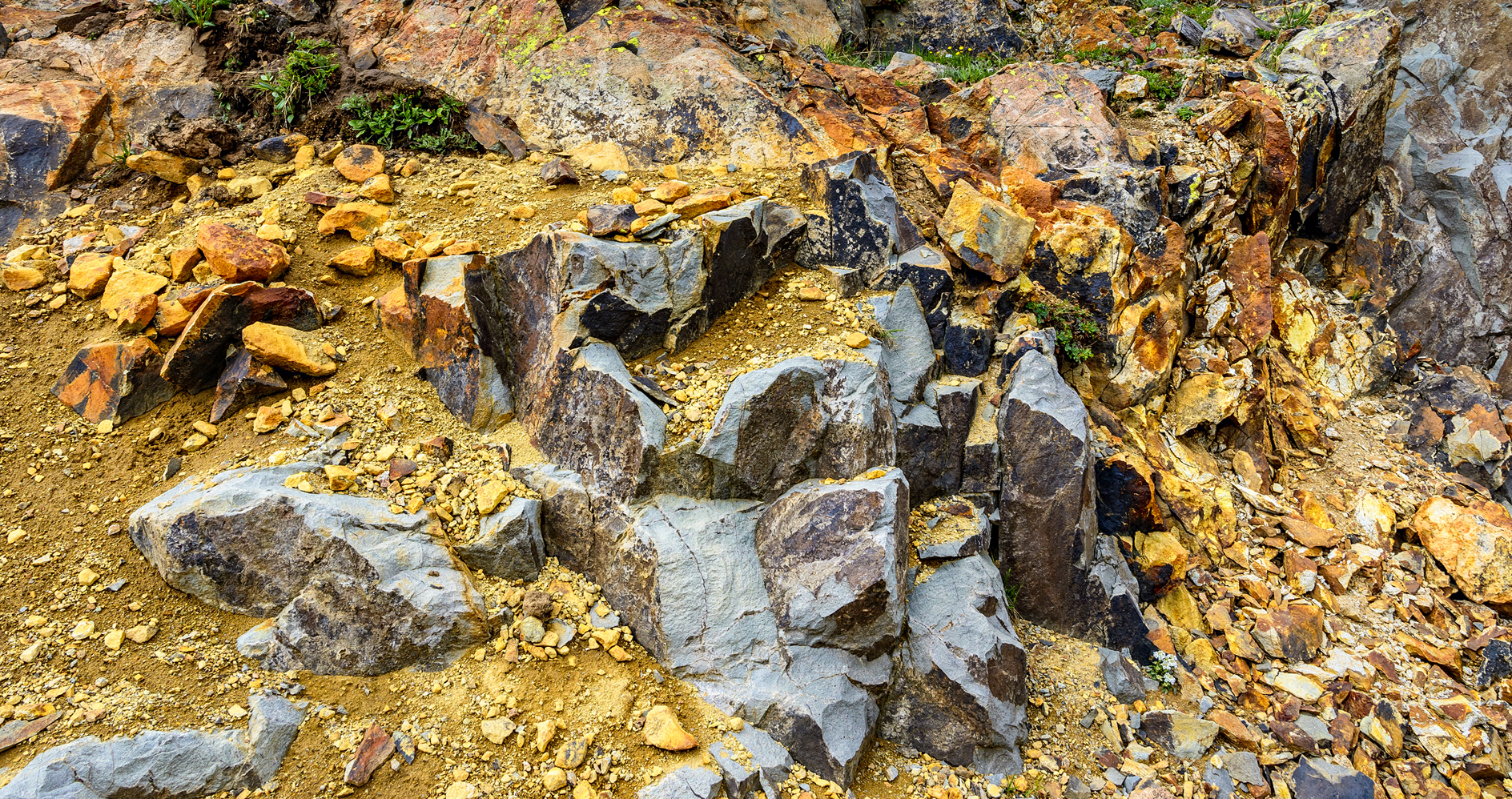 Rocky Mountain Scrabble