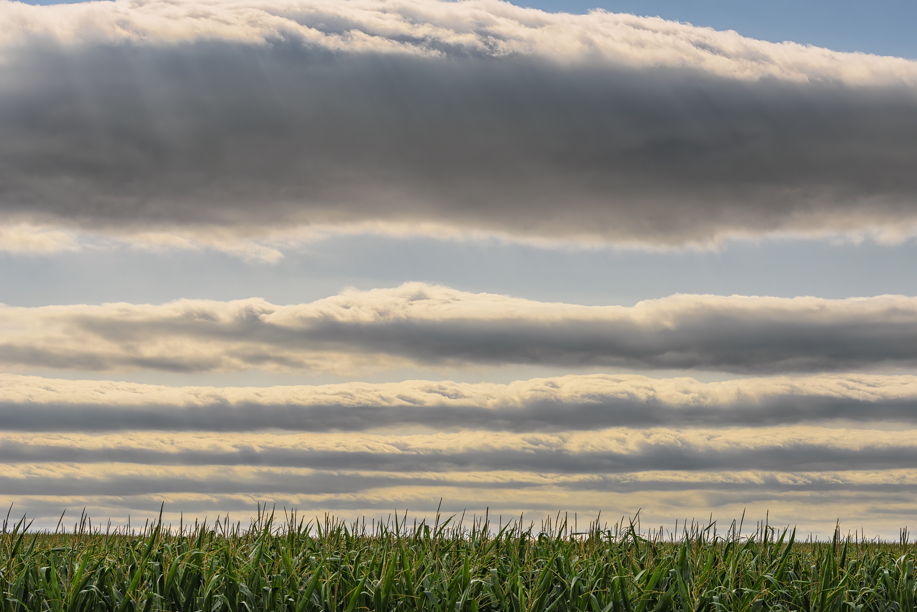Rolling Around the Ceiling