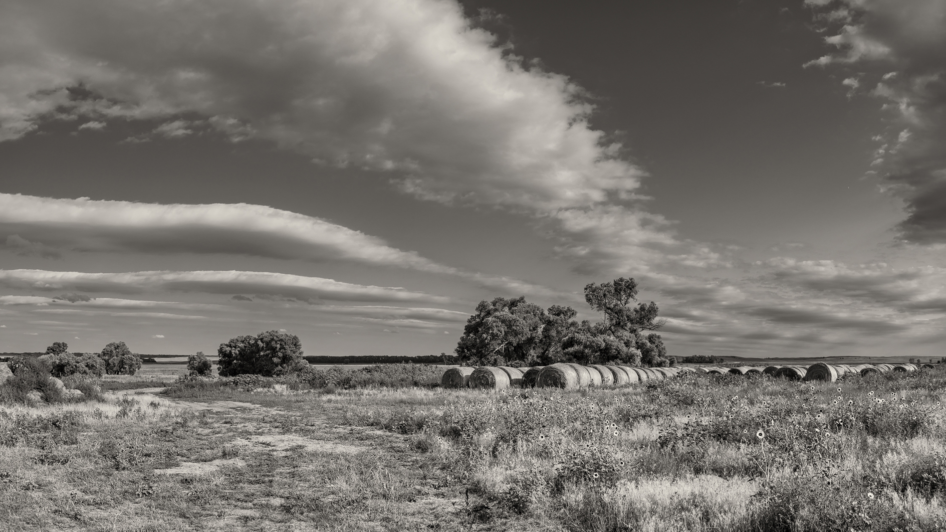 Rolling Around the Prairie VI