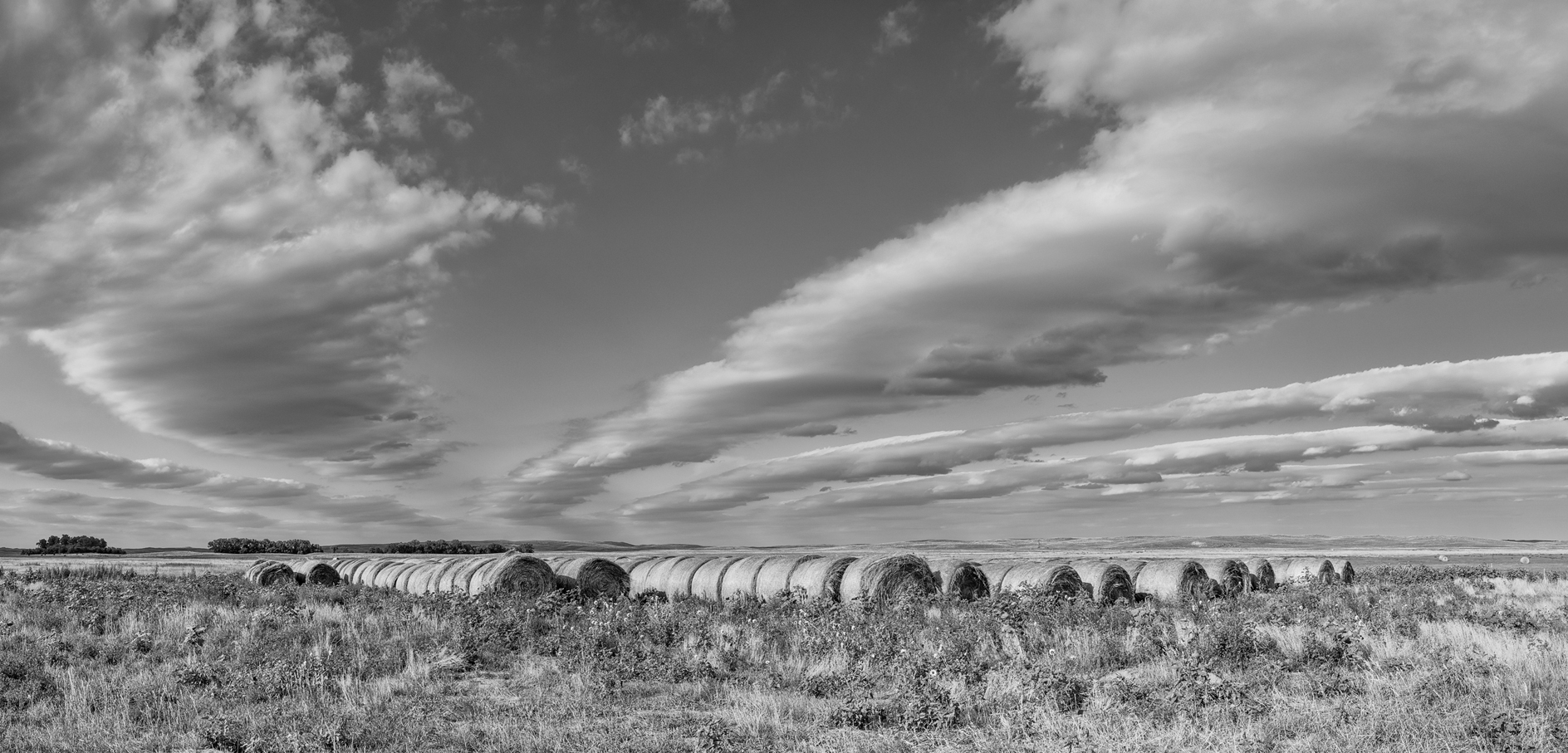 Rolling Around the Prairie VII