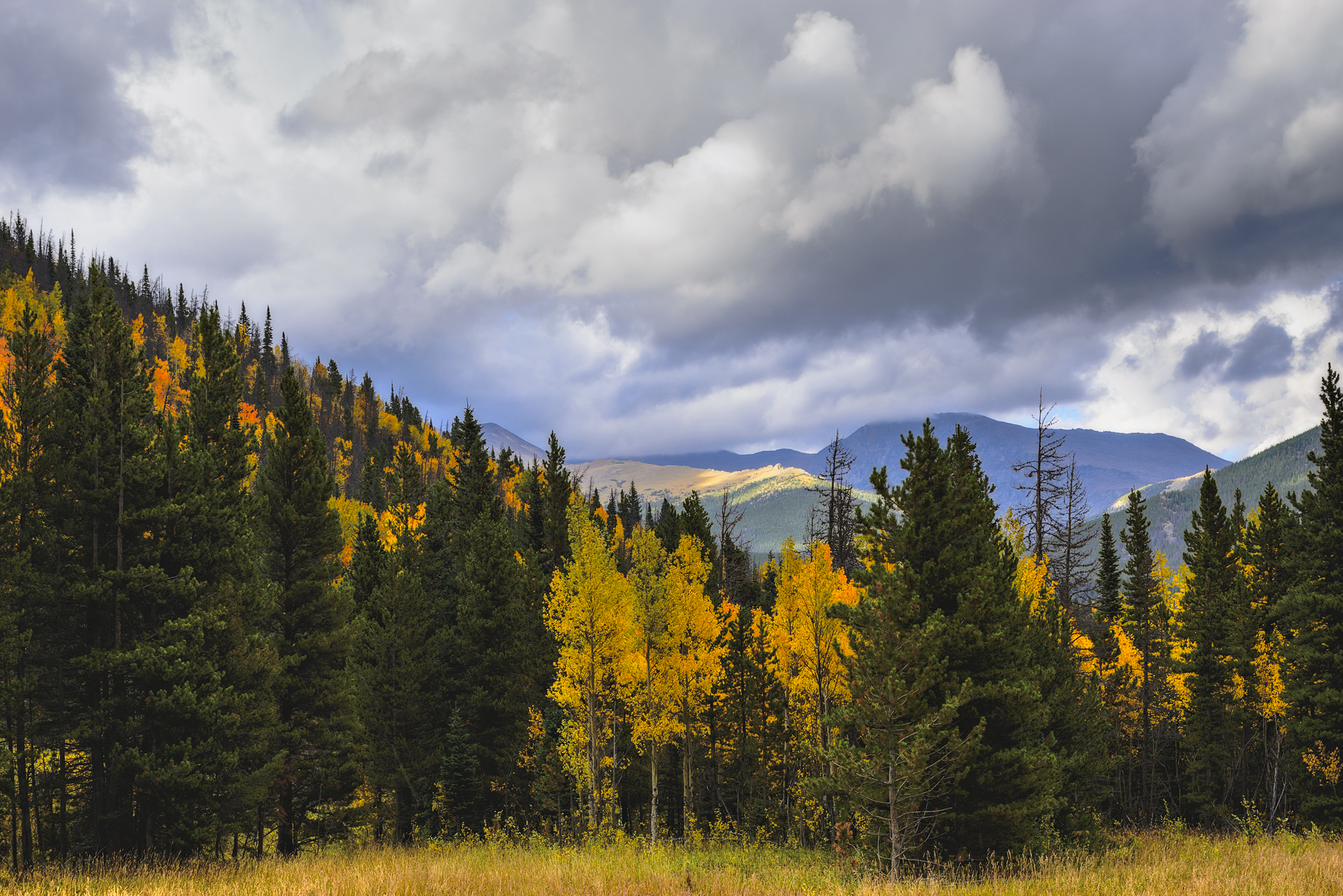 Rolling towards Winter