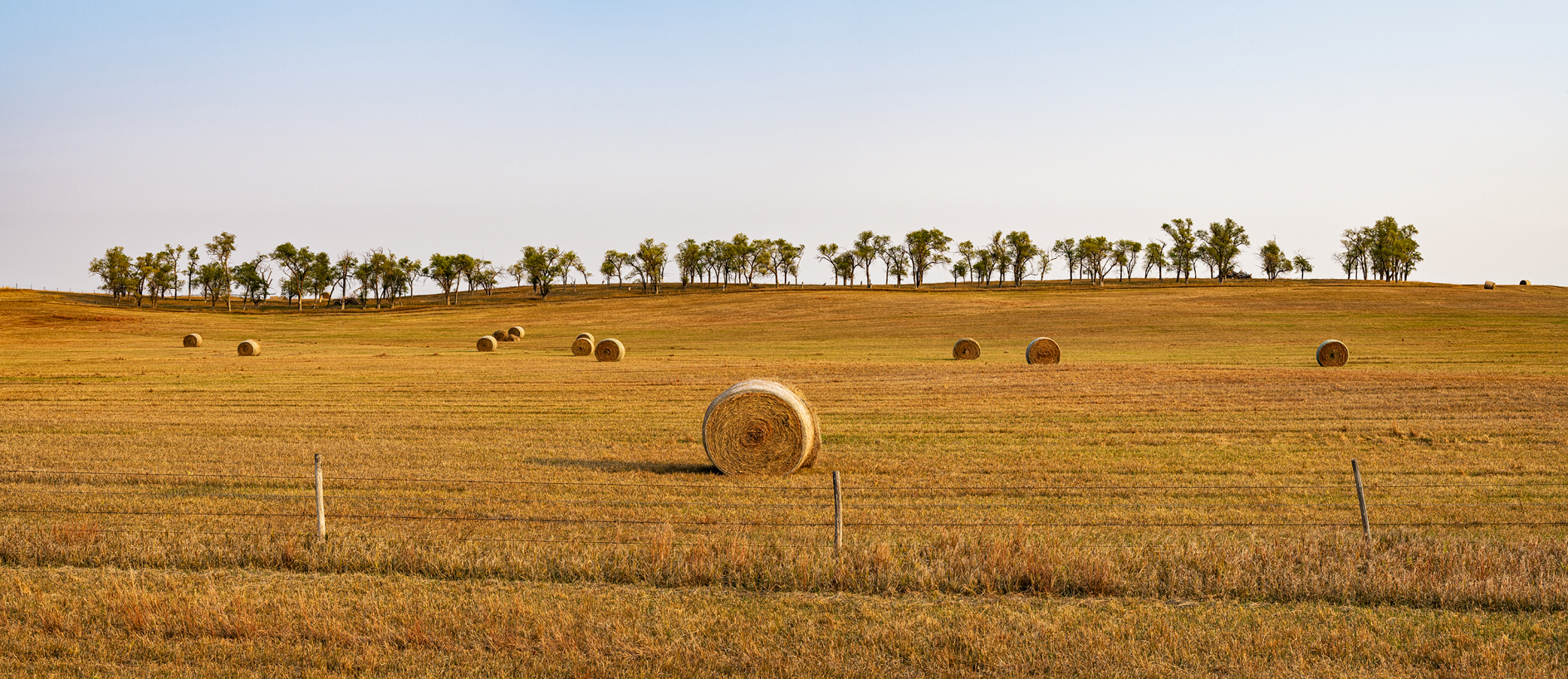 Rolling Up the Pasture