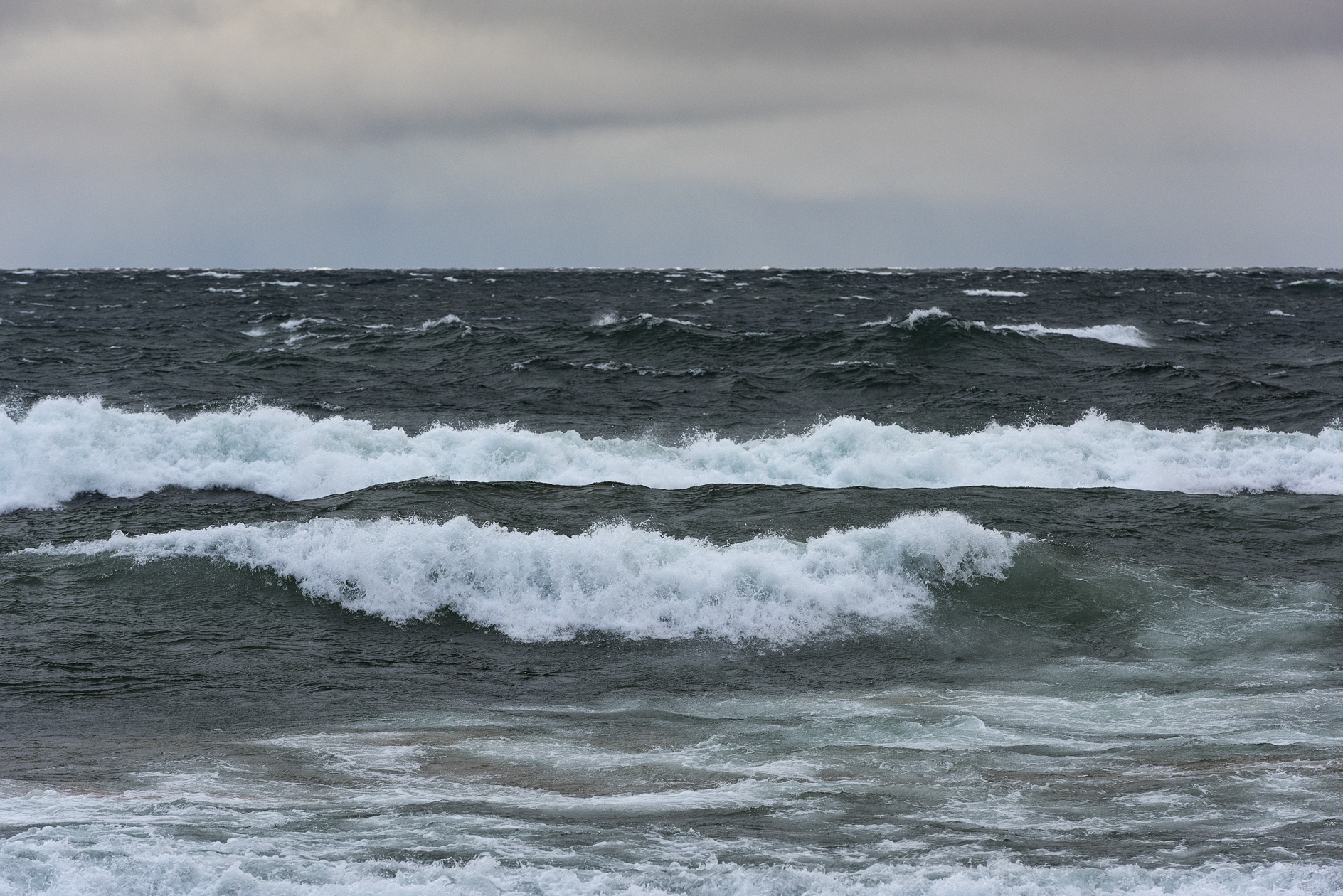 Rolling With the Wind